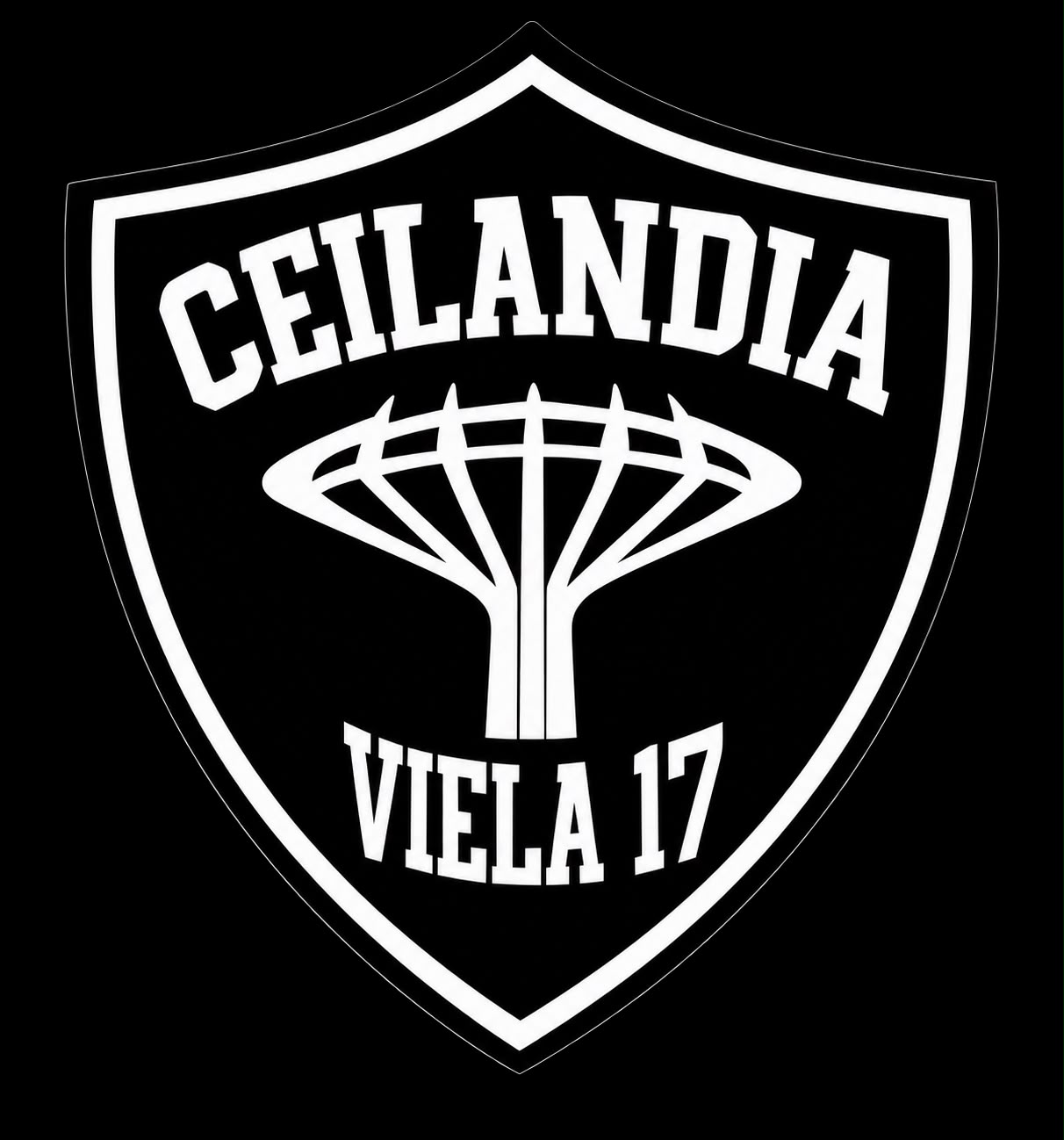 Ceilândia Viela 17